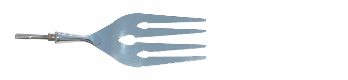 Fish server fork