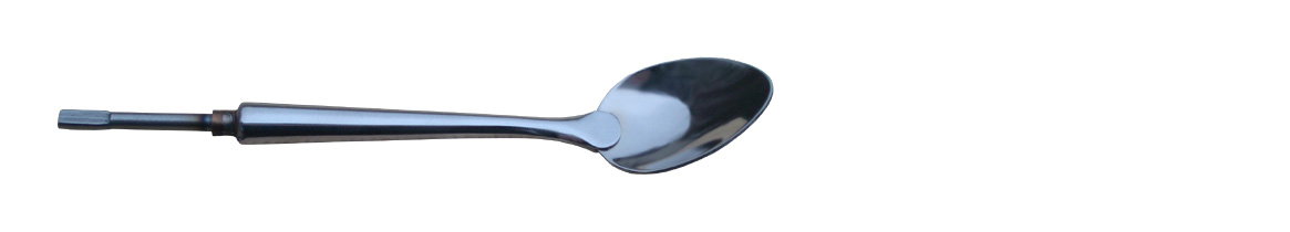 Keediselusikas